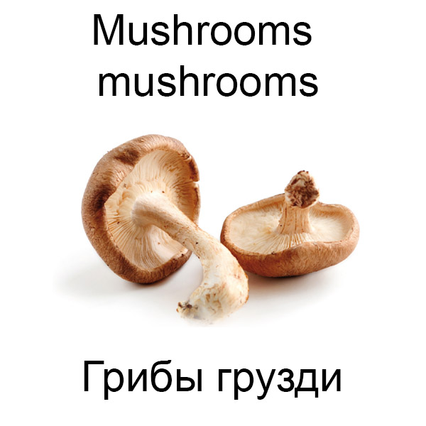 Виды грибов на английсуом
